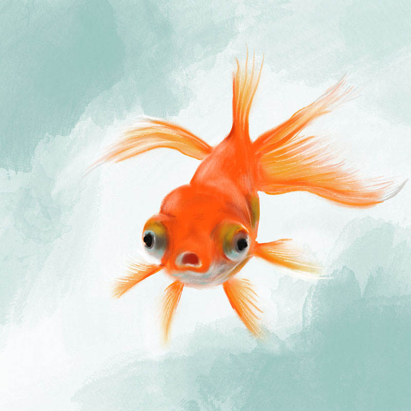 Image of a digital illustration of a goldfish done by Jennifer Meacham and links to her portfolio